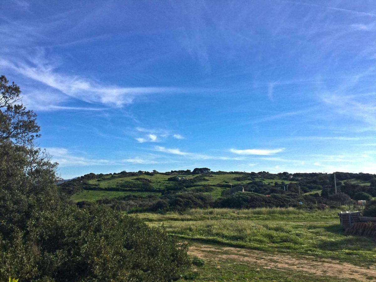 Séjour à la campagne Fioredda Aglientu